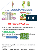2.1. Histologia Vegetal