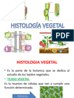 2.2. Clasificación de Tejidos Vegetales