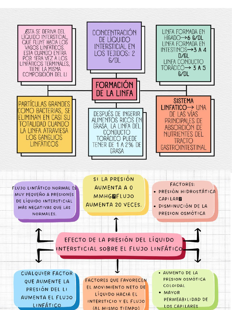 Sistema Linfático Pdf