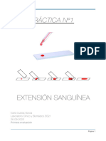 EXTENSIÓN SANGUÍNEA - Carla Cuesta