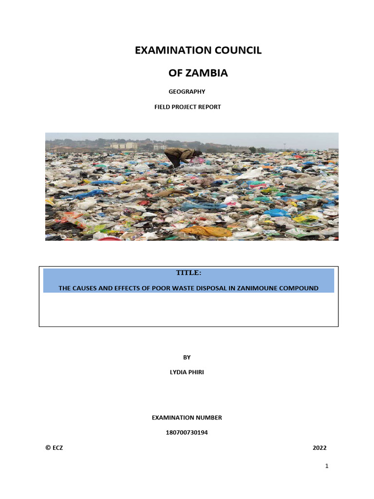GEOGRAPHY Lydia PDF Waste Recycling