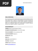 Perfil Profesional HV