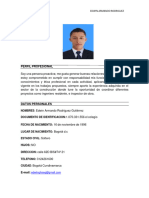 Perfil Profesional HV