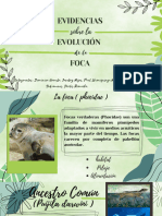 Las Evidencias de La Evoluciã - N de La Foca