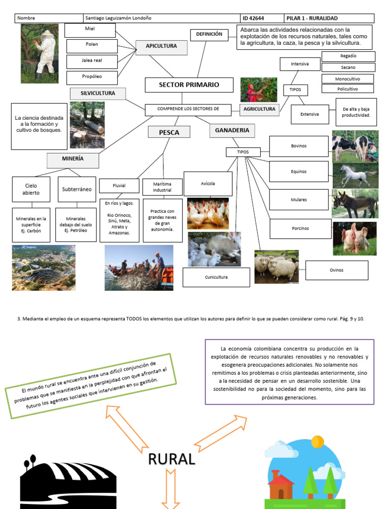 Formato 2 - Ruralidad | PDF