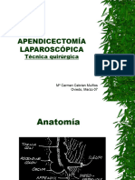 apen_tecnica (1)