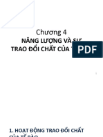 4. Năng lượng và sự trao đổi chất của tế bào