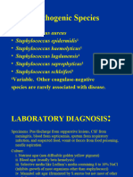 Laboratory Diagnosis of Strepto