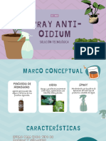 Spray Anti Oidium