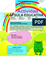 CAPSULA EDUCATIVA Semana Del 09 Al 13 de Agosto