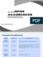 CUERPOS ACADÉMICOS - Ibarra Sarabia.