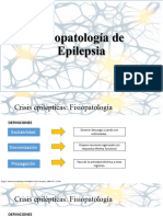 Fisiopatologia Epilepsia