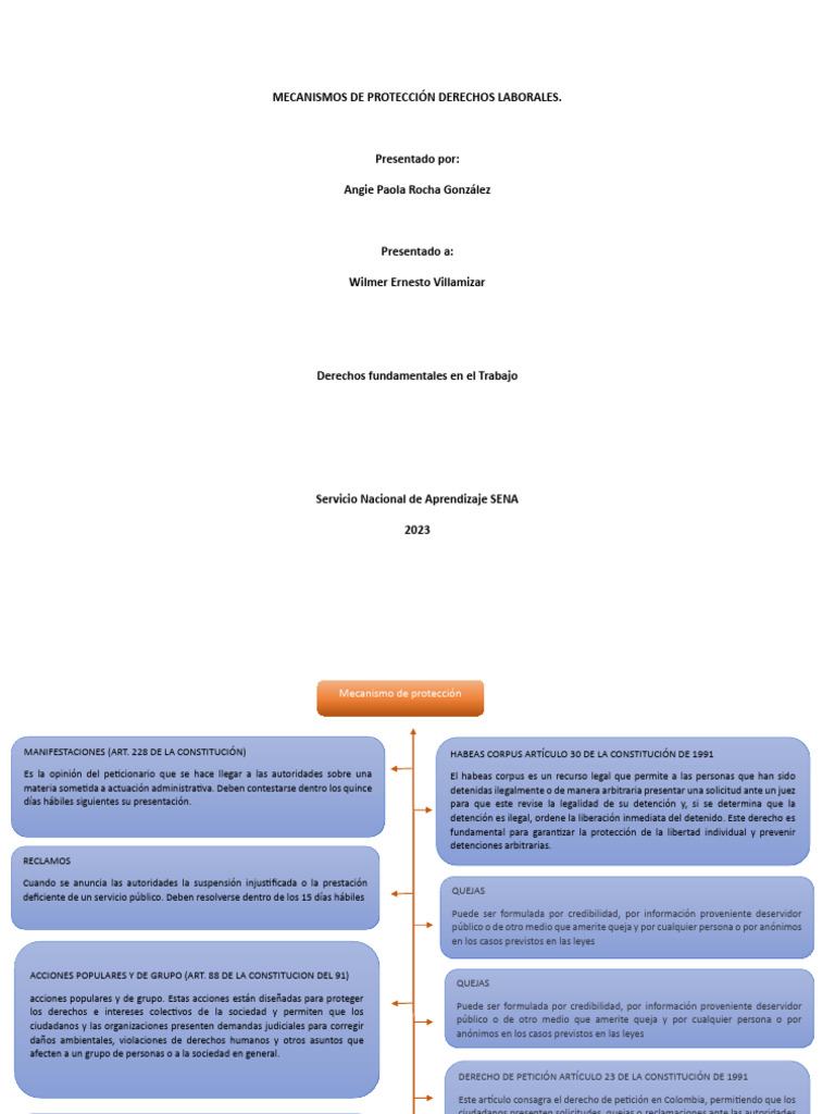 Evidencia 5 Angie Rocha | PDF | Petición | Habeas corpus