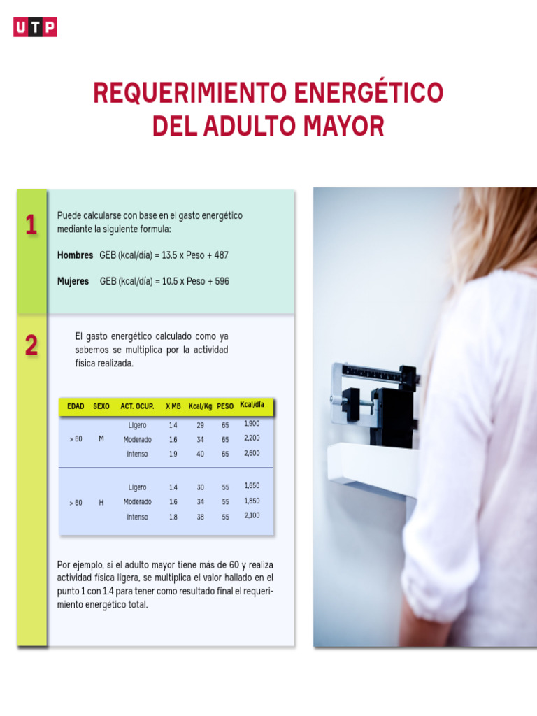 Requerimiento Calórico en Adultos Mayores | PDF