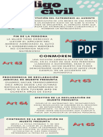 Infografia Derecho de Personas Arlet V.