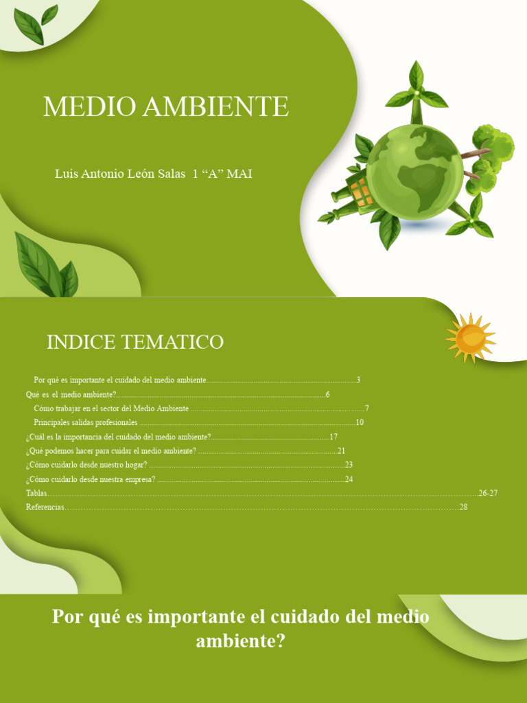 Cuidado y Ética del Medio Ambiente | PDF | Entorno natural | Energía ...