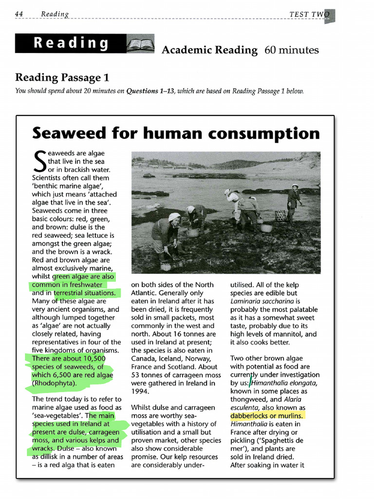 Reading 1 | PDF