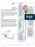 Ficha CT 15-11-22