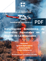 Análisis de Valorización Económica de Incendios Forestales en La Araucanía, Chile