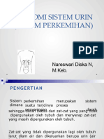 Sistem Perkemihan