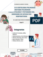 Anatomia e Histologia Pulmonar Hematosis Pulmonar Fisiopatologia y Patogenia Del Sindrome de Dificultad Respiratoria