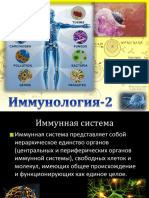 иммунитет 2