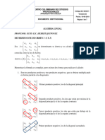 Guia 1 - Determinantes