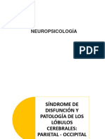 Sesión N°9 Apuntes de Neuropsicología