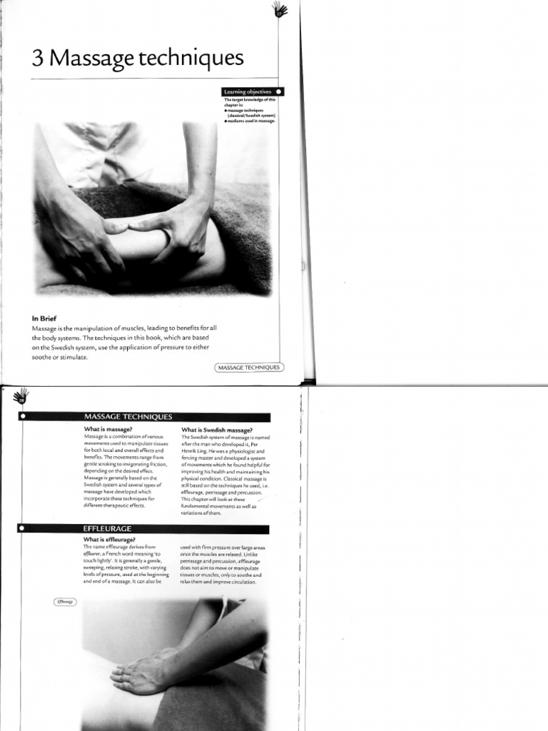 Massage Techniques LT Book | PDF