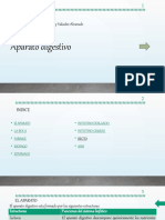 Aparato Digestivo - Lic. en Enfermeria