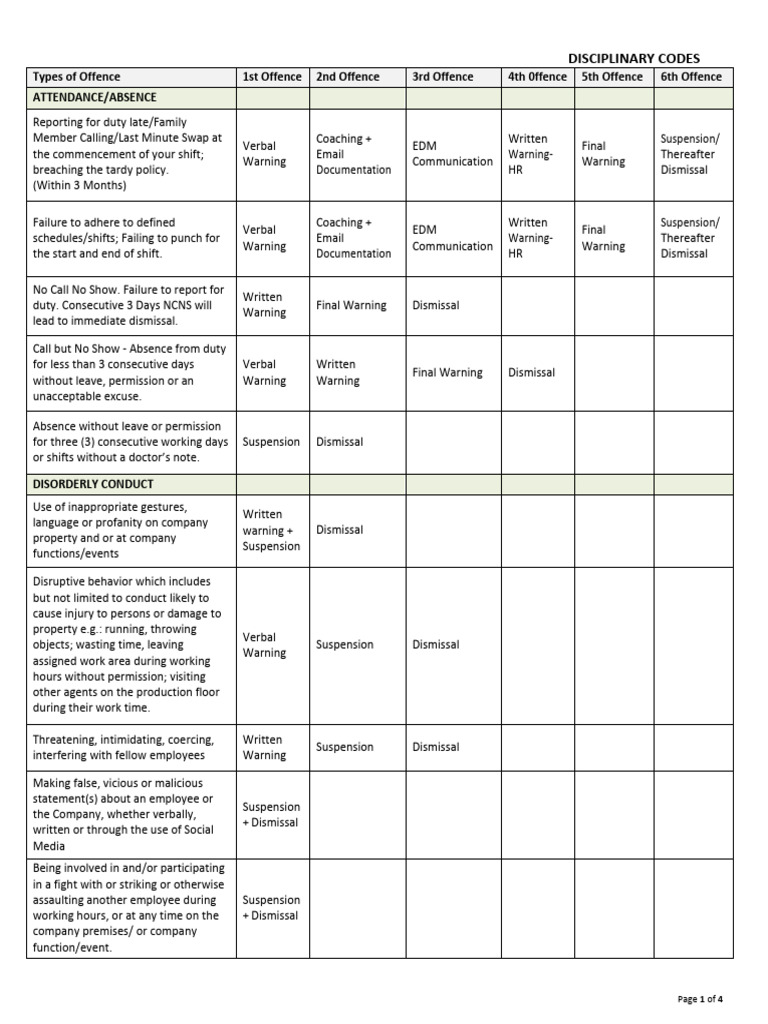Vistaprint Disciplinary Codes Overview | PDF