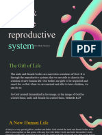 Reproductive System