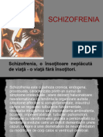 Schizofrenia Rezumat