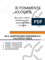 Bloc Comú I-Fonaments Biològics-UD4