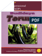 Budidaya Terung