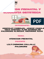 Atencion Prenatal