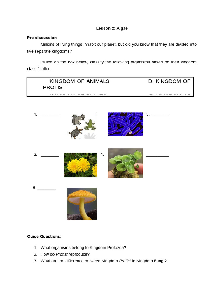 Chapter 3 Lesson 2 Algae | PDF | Algae | Sexual Reproduction