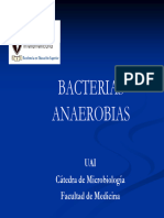 Bact Anaerobias