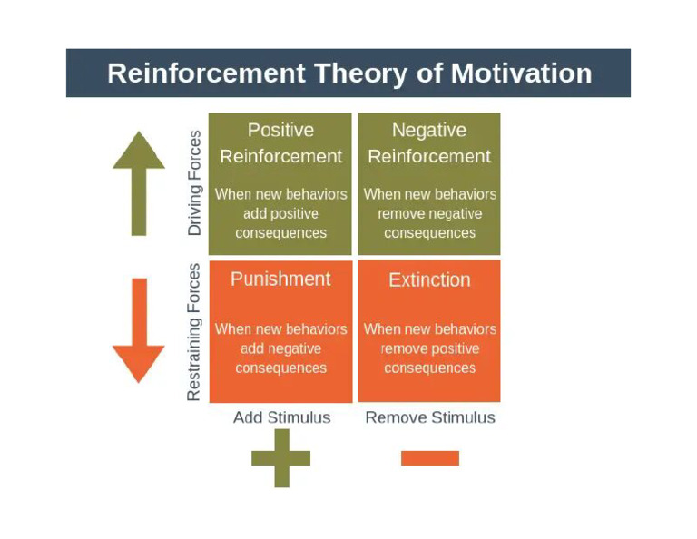 3 TYPES OF REINFORCEMENT visual data 3