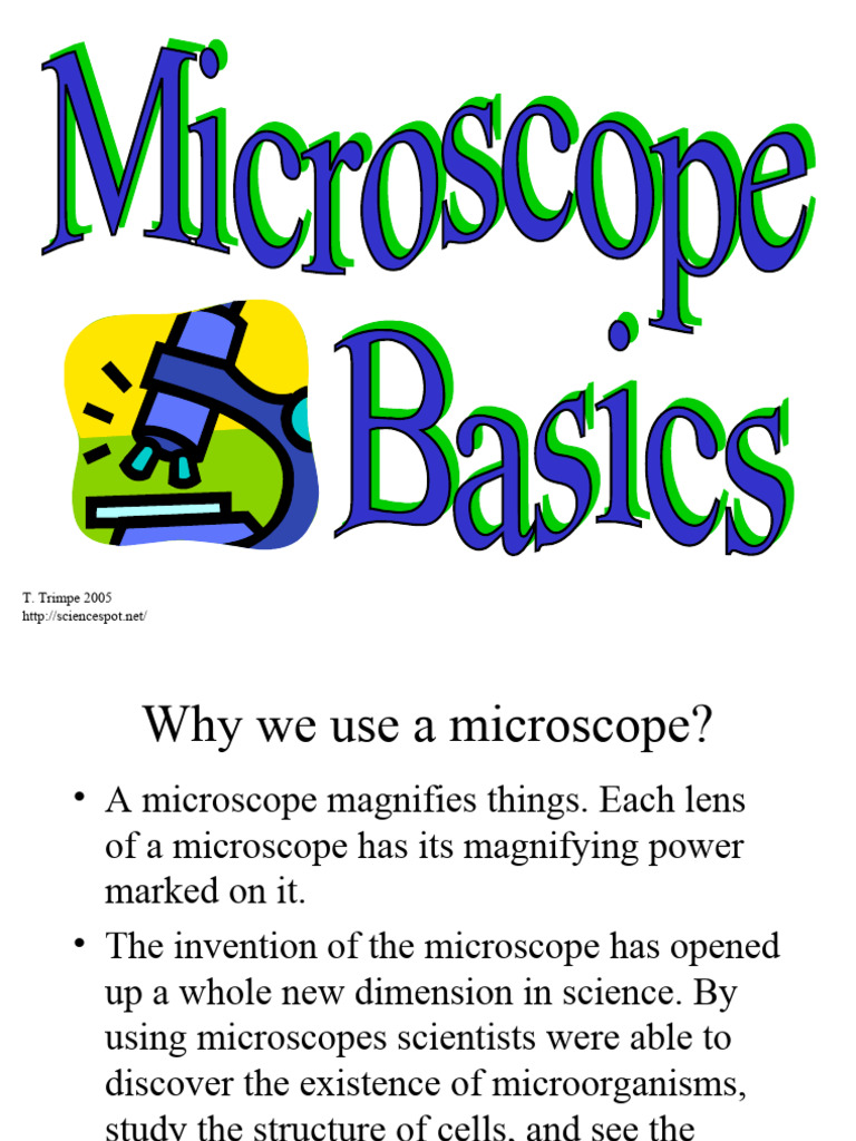 Microscope Basics PDF Optics