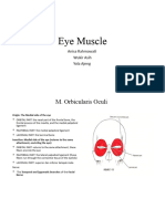 Eye Muscle