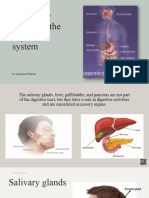 Accessory Organs of The Digestive System