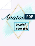 Anatomía - Columna Vertebral 