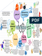 Mapa Mental Proteinas