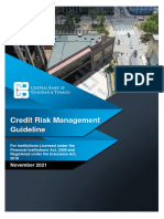 Credit Risk Management Guideline 20211201