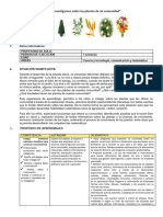 5 Las Plantas de Mi Comunidad