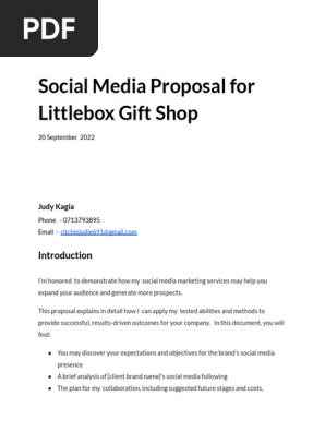 Social Media Proposal for Littlebox Gift Shop  (1)