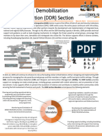 DDR Section 2021 Vision Document en