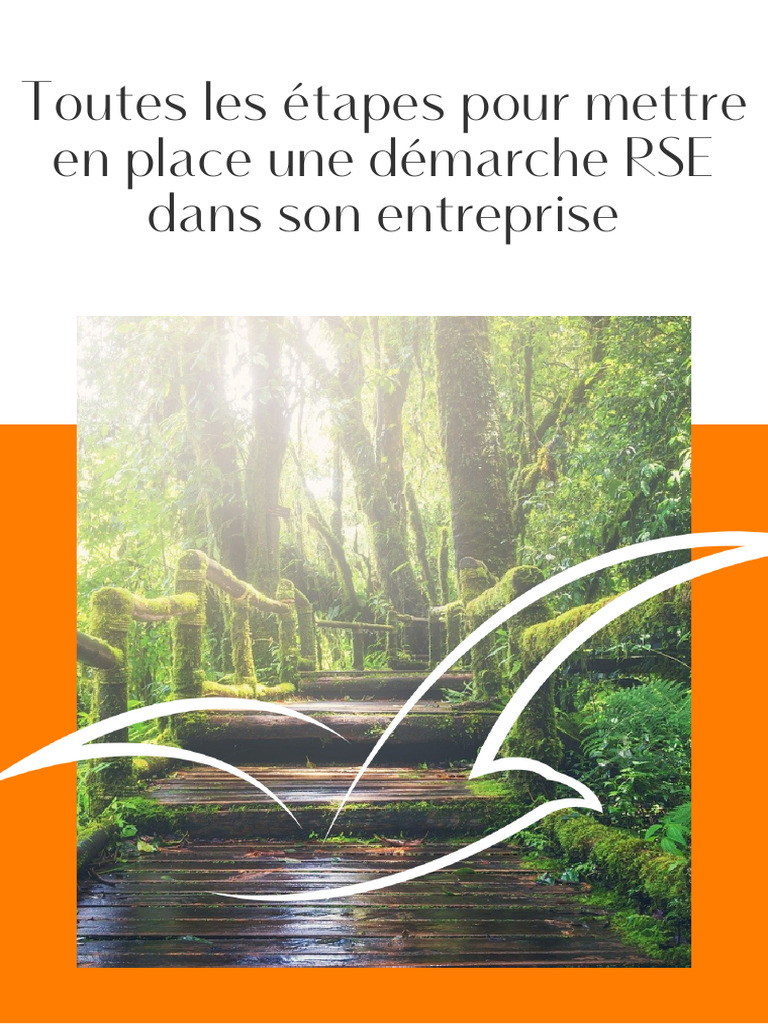 Étapes pour une démarche RSE efficace | PDF | Responsabilité sociétale ...