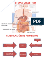 S.digestivo y Respiratorio - 1